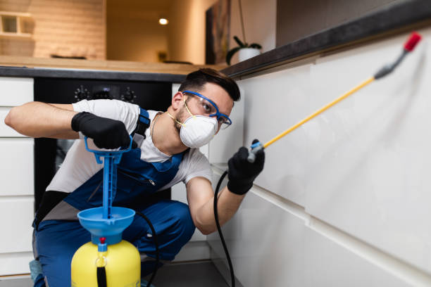Best Pest Inspection Near Me  in Fulton, KY