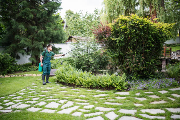 Best Pest Prevention Services  in Fulton, KY