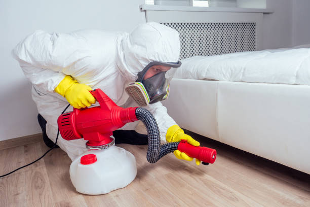 Best Insect Control  in Fulton, KY