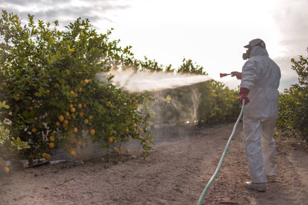 Trusted Fulton, KY Pest Control Experts