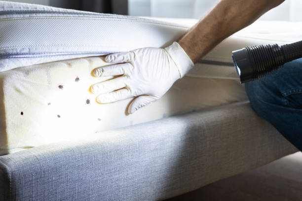 Best Best Pest Control Companies  in Fulton, KY