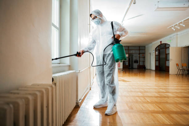 Best Local Pest Control Services  in Fulton, KY