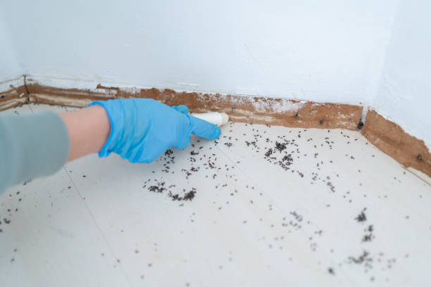 Best Pest Control Treatment  in Fulton, KY